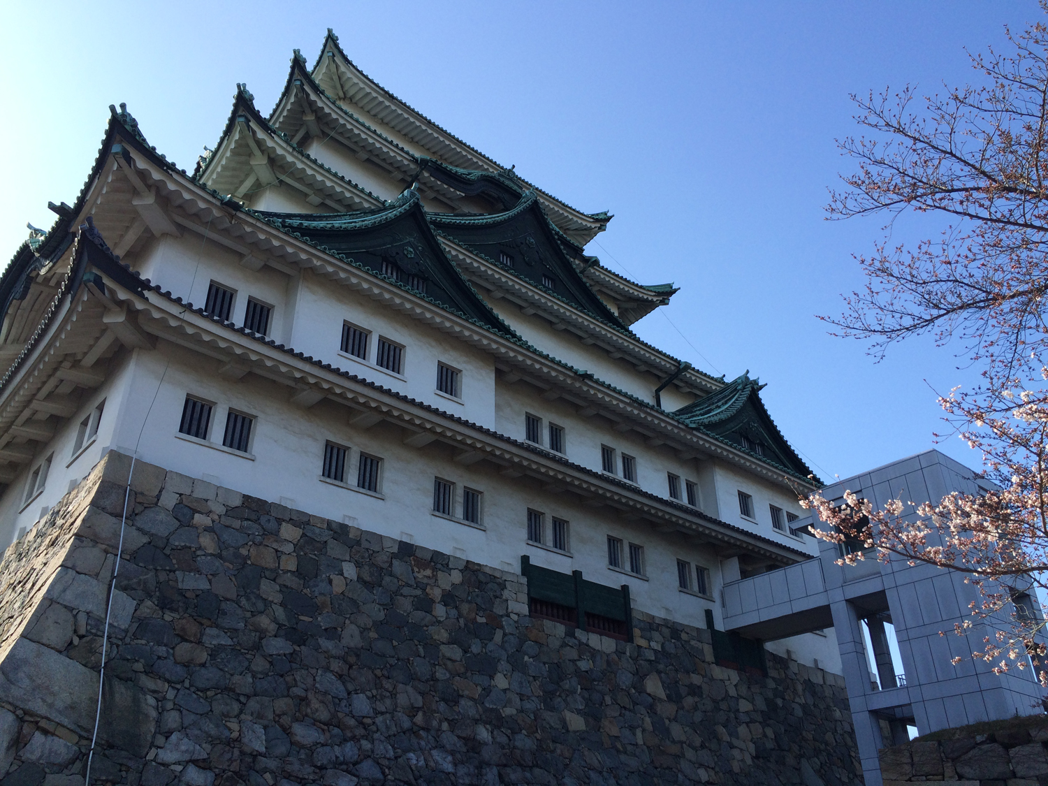 My ALTIA CENTRAL Experience - Dropped Tales